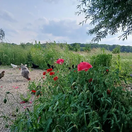 Bed & Breakfast Berend 't Boerle *