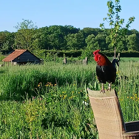 Bed and breakfast Berend 't Boerle