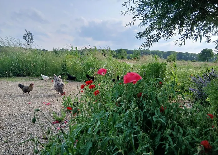 Bed & Breakfast Berend 't Boerle *
